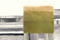 Rumi's Field | Amy Farrier