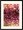 Rain Blossom no. 8 | Andrea Pramuk | Ebony Frame