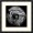 Elephant | Jon Windham | Ebony Frame
Jon will donate 50% of his proceeds of Elephant to International Elephant Foundation