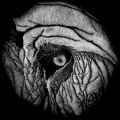 Elephant | Jon Windham
Jon will donate 50% of his proceeds of Elephant to International Elephant Foundation