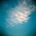 Persistence of Memory | Paul Drown