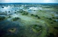 Okavango Delta | Charlene deJori