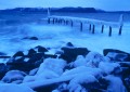 Icy Storm | Lene Foss