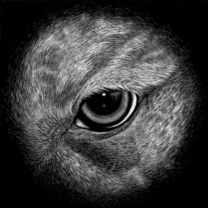 Greyhound | Jon Windham
Jon will donate 50% of his proceeds of Greyhound to USA Defenders of Greyhounds