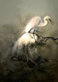 Nesting Great Egrets | Charlene deJori
