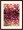 Rain Blossom no. 8 | Andrea Pramuk | Espresso Frame