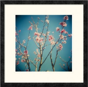 I Thought I Was Someone Else | Paul Drown | Ebony Frame