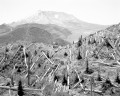 Mt. St. Helen's 3 | Bryan Natinsky