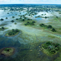 aerial-view-artmuse.jpg