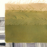amy-farrier-rumis-field-icon.jpg