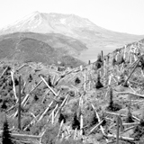 bryan-natinsky-mt-st-helens-3-icon.jpg