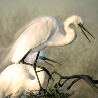 photography-artmuse.jpg