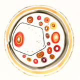 shelly-porter-discernment-icon.jpg