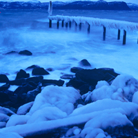 winter-artmuse.jpg